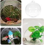 12Pcs Glass Globe Terrarium Kit Hanging Air Plant Planter for Indoor Decor Glass Vases with Flat Bottom for Succulent Microlandscape - Image 3