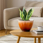 8 Inch Plant Pots, Glazed Plastic Indoor Planters with Drainage, 4 Pack - Image 6
