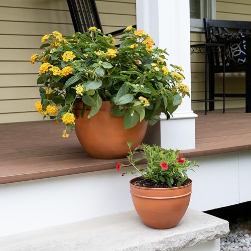 Achla Designs Small Planting Pot, Burnt Sienna - Image 7