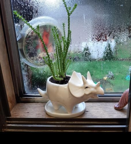 Ceramic Succulent Plant Pot Cactus Plant Pot Flower Pot Container Planter with Drainage Hole Home Office Desk Garden Gift Idea Animal Shaped Flower Pot Cute Vase Pot (4pcs Dinosaur) - Image 4