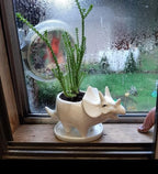 Ceramic Succulent Plant Pot Cactus Plant Pot Flower Pot Container Planter with Drainage Hole Home Office Desk Garden Gift Idea Animal Shaped Flower Pot Cute Vase Pot (4pcs Dinosaur) - Image 4