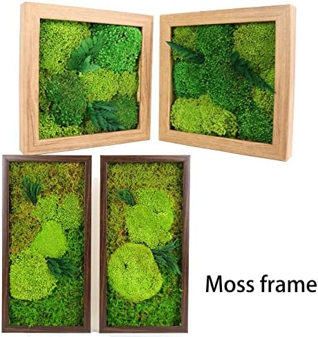 1.5 Sq. Ft. Preserved Moss Pole Decorative Moss for Crafts, Art, Wall Decor,Yellow Green Moss - Image 5