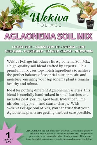 Aglaonema Growing Soil Mix – 3 Quarts - Custom Soil Blend – Potting Mix for Aglaonema Plants – Specially Developed by and for Professional Nursery Growers - Nutrient-Rich Formula - Image 2