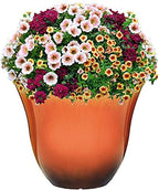 Classic Home and Garden Honeysuckle Planter, Patio Pot,Tequila Sunrise Home, 15 Inch - Image 3