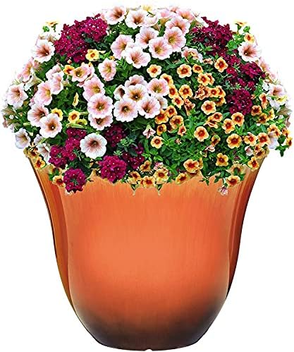 Classic Home and Garden Honeysuckle Planter, Patio Pot,Tequila Sunrise Home, 15 Inch - Image 3