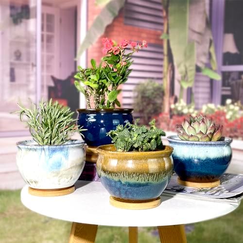 5.5 Inch Succulent Pot with Drainage and Free Saucer Glazed Terracotta Round Ceramic Succulent Planter Cactus Bonsai Plant Pot (Set of 4) - Image 4