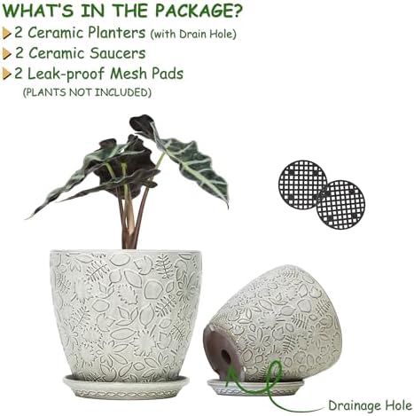 8 Inch + 6 Inch Retro Ceramic Planter Set of 2 with Drainage Hole and Saucer for Multiple Plants, Indoor-Outdoor Garden Pots for Succulent, Orchid, and Flower (Retro White) - Image 2