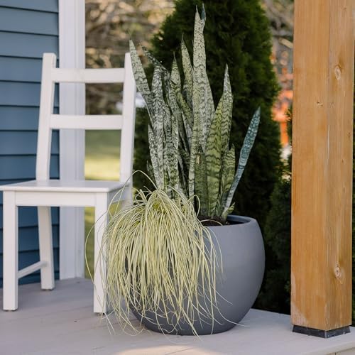 Beuta Large Poly Planters for Outdoor Plants - Set of 3, 8/12/14 Inches Outdoor Planters for Porch - Tall Planter for Outdoor & Indoor Plants | Large Indoor Plant Pot - USA Made - Grey - Image 3