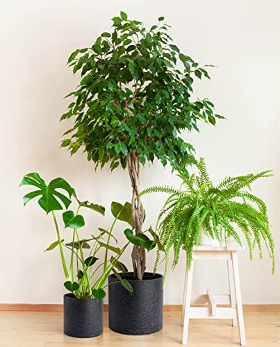 D'vine Dev 3-Pack Plastic Pots, 6.5/8/10 in, Speckled Black, 74-V-F-4 - Image 7
