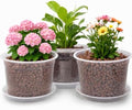 10 Inch Clear Nursery Pots with Drainage Holes and Saucers, 5 Pack Large Clear Pots for Plants Variety Pack, Seedling Pots for Succulents, Herbs, Flowers, Vegetables by GUGEMEI