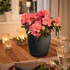 Lechuza Classico Color 21 Slate, Self-Watering Small Round Planter, D8.3 H7.9 in - Image 7
