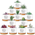 12 Pcs Inspirational Succulent Pots Thank You Gift Bulk for Women Employee Teacher Coworker Sometimes You Forget You're Awesome Small Ceramic Plant with Bamboo Trays for Office Staff by Unknown