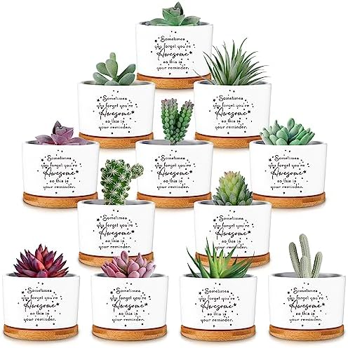 12 Pcs Inspirational Succulent Pots Thank You Gift Bulk for Women Employee Teacher Coworker Sometimes You Forget You're Awesome Small Ceramic Plant with Bamboo Trays for Office Staff by Unknown