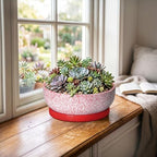 Ceramic Succulent Planter, 8 Inch Bonsai Pots with Tray, Texture Red - Image 3