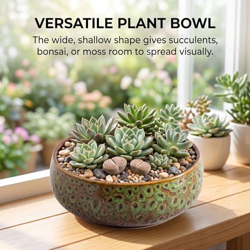 Compact, Leak-Proof Micro Water Feature Bowl, 6.5 Inch Garden Bowl for Water Feature, Decorative Bird Bath and Tabletop Fountain Basin for Indoor Outdoor Zen Deco - Image 2