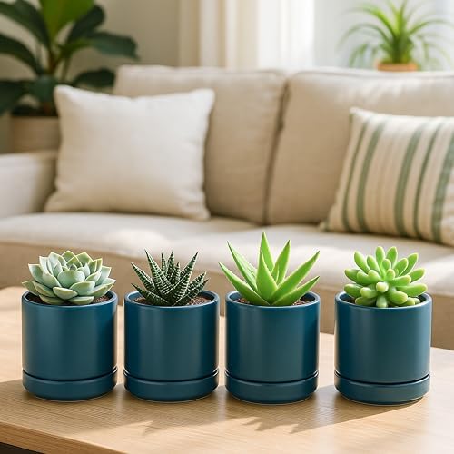 D'vine Dev 4-Pack Ceramic Pots with Saucers, Teal, 4.7 in, 94-X-B-9 - Image 2