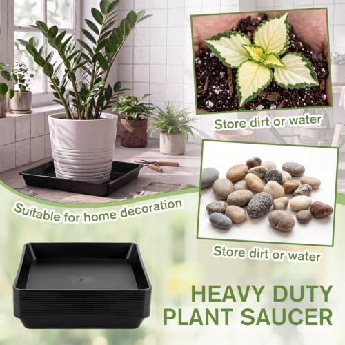 Eccliy 12 Pcs Plastic Plant Saucers Tray, Black, 14 Inch, Square - Image 5