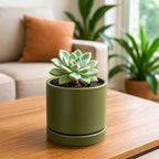 D'vine Dev 4-Pack Ceramic Pots with Saucers, Olive, 4.7 in, 94-X-B-0 - Image 6