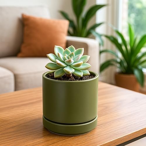 D'vine Dev 4-Pack Ceramic Pots with Saucers, Olive, 4.7 in, 94-X-B-0 - Image 6