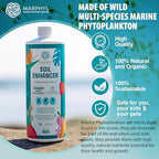 MARPHYL All-Purpose Plant Food – Organic Nutrient-Rich Fertilizer & Soil Enhancer for Indoor & Outdoor Flowers, Vegetables, Succulents, Bamboo & Hydroponics - Image 3
