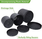D'vine Dev 3-Pack Plastic Pots, 6.5/8/10 in, Speckled Black, 74-V-F-4 - Image 4