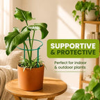 6 Pack Tall Plant Support Stakes – Peony Cages and Supports 10"W x 16"–32"H - Image 5