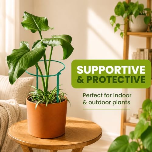 6 Pack Tall Plant Support Stakes – Peony Cages and Supports 10"W x 16"–32"H - Image 5