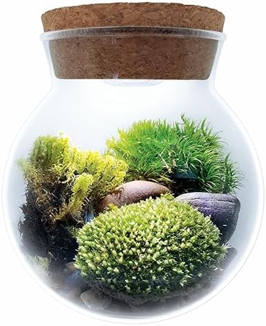 Create Your Serene Moss Sanctuary with The Unique Gardener Moss Bowl Terrarium Kit with LED Light - Complete Terrarium Supplies, Indoor Plants for Stress Relief & Air Purification! by UniqueGardener