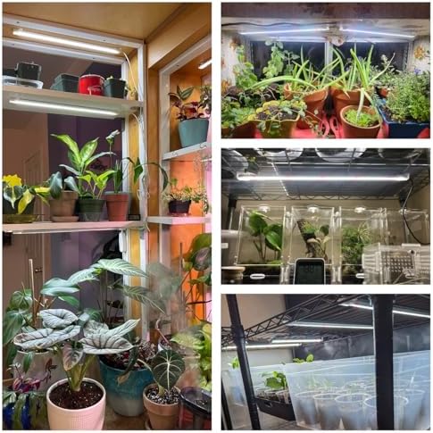 Wiaxulay 16in Grow Light Strip for Indoor Plants, 15W Full Spectrum 6000K - Image 4