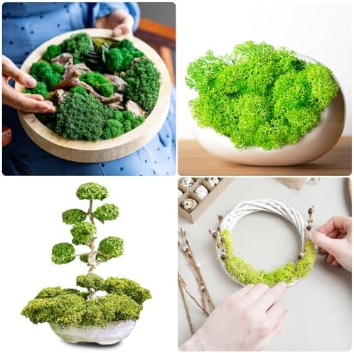 uxcell Preserved Reindeer Moss, 14oz Fake Moss for Crafts Artificial Dried Moss for Decoration Terrariums Potted Plants, Light Green/Dark Green/Yellow/Chartreuse - Image 6