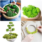 uxcell Preserved Reindeer Moss, 14oz Fake Moss for Crafts Artificial Dried Lichen for Decoration Terrariums Potted Plants, Mix Green - Image 6