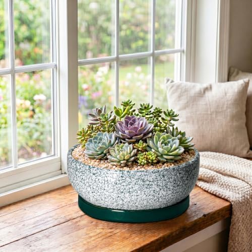 Bonsai Pots Ceramic, 10 Inch Succulent Pots with Tray, Texture Green - Image 4