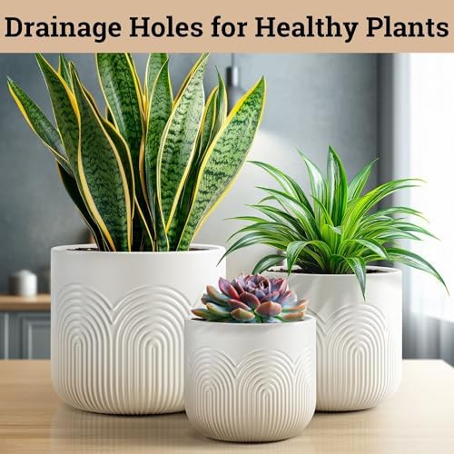 Ceramic Pots for Plants Set of 3, 6, 5, 4 Inch Diameter with Drainage Holes - Image 4