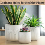 Ceramic Pots for Plants Set of 3, 6, 5, 4 Inch Diameter with Drainage Holes - Image 4