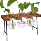 Plant Terrarium with Wooden Stand, Air Planter Bulb Glass Vase Metal Swivel Holder Retro Tabletop for Hydroponics Home Garden Office Decoration - 3 Bulb Vase - Image 3