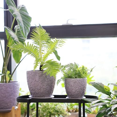 8 Inch + 6 Inch Retro Ceramic Planter Set of 2 with Drainage Hole and Saucer for Multiple Plants, Indoor-Outdoor Garden Pots for Succulent, Orchid, and Flower (Retro Purple) - Image 7