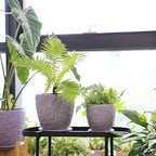 8 Inch + 6 Inch Retro Ceramic Planter Set of 2 with Drainage Hole and Saucer for Multiple Plants, Indoor-Outdoor Garden Pots for Succulent, Orchid, and Flower (Retro Purple) - Image 7