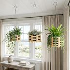 6", 8" & 10" Wooden Orchid Baskets with Hangers for Ferns & Vandas, 3 Pack - Image 4