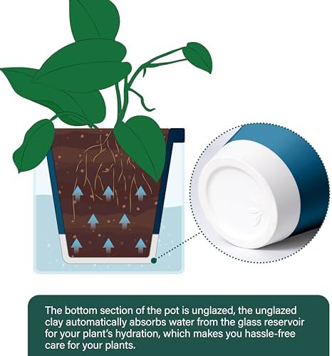 D'vine Dev Self-Watering Blue Terracotta Planter Pot, 8 in, 37-X-C-4 - Image 5