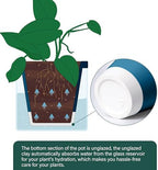D'vine Dev Self-Watering Blue Terracotta Planter Pot, 8 in, 37-X-C-4 - Image 5