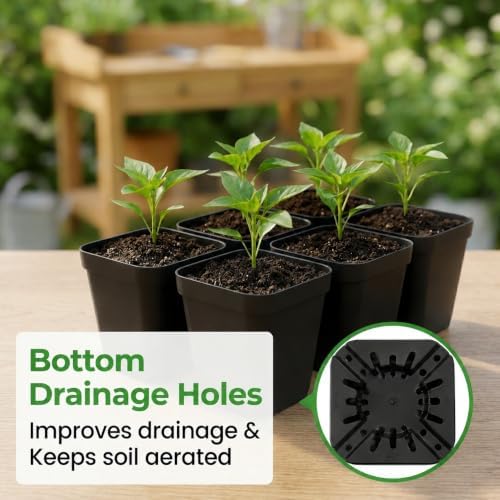 60pcs 3.5 Inch Plastic Nursery Pots and 5 Pack Seed Starter Tray - Image 3