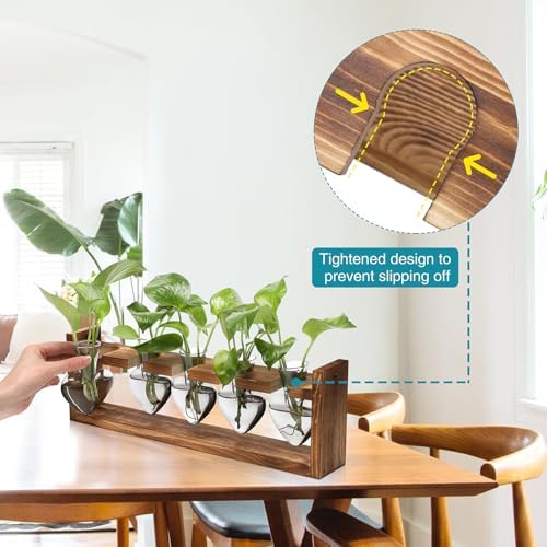 Plant Terrarium Hanging Propagation Stations Gift for Women - Image 2