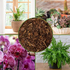 Soil Sunrise 100% Natural Pine Bark Mulch Nuggets (12 Quarts) Small Chips for Indoor/Outdoor Container Gardening, Ideal for Soil Supplement, Houseplant Topper, and Terrariums - Image 6