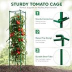 6-Pack 57inch Matal Tomato Cage for Garden Plant Support - Image 4