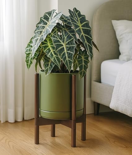 D'vine Dev Ceramic Pot with Walnut Wood Stand, Olive, 10 in, 55-B-X-J - Image 4