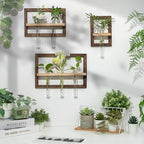 Wall Propagation Station Set with Glass Tubes - Image 7