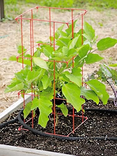 Gardener's Supply Company Pepper & Eggplant Cages - Red (Set of 3) - Image 2