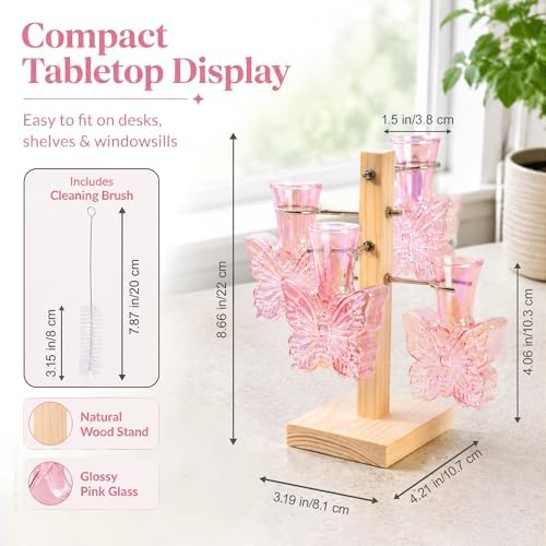 Nacome Plant Terrarium Propagation Stations: Pink Vase with Wooden Stand - Image 4