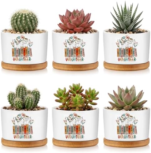 Havawish 6 Pcs Volunteer Appreciation Gifts Ceramic Succulent Planter Pots Mini Porcelain Plant Containers Thank You Gifts for Volunteer Month Social Worker, Plants Excluded by Havawish
