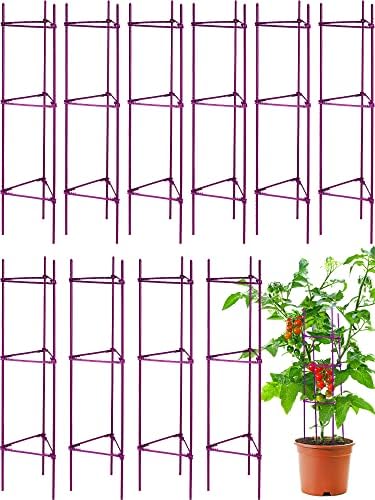 Chunful 10 Packs Tomato Cages for Garden Support up to 48", Purple by Chunful